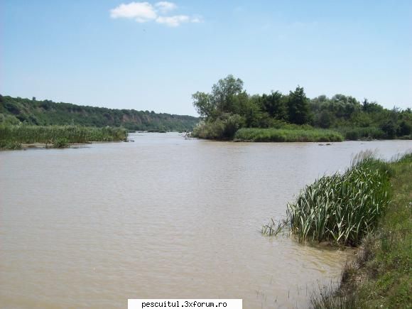 pescuit prin judetul bacau uitat spun, toata aceasta zona,de itesti constituie rezervatie naturala, MEMBRU DE ONOARE