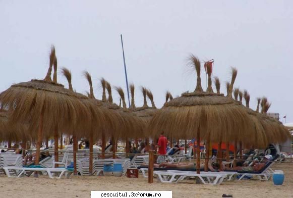 poze tunisia the beach MEMBRU DE ONOARE