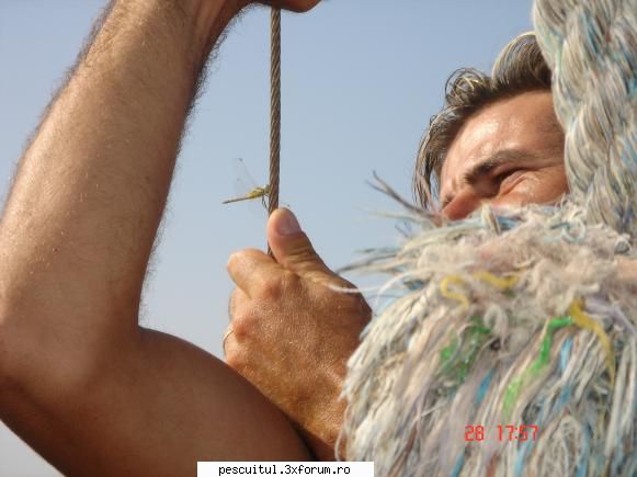 poze tunisia mai stiti libelula mea oltina venit saraca pana-n hammamet sa-mi dea raportul :,,