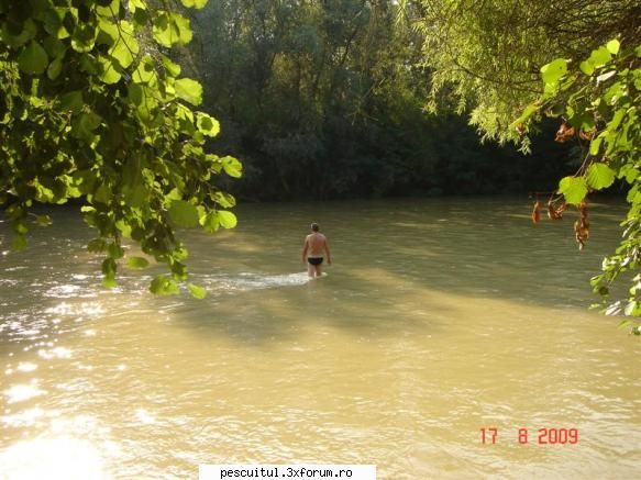 din timisoara .... didel inainte toate testeaza substratul piciorul vrea vada unde-si arunca