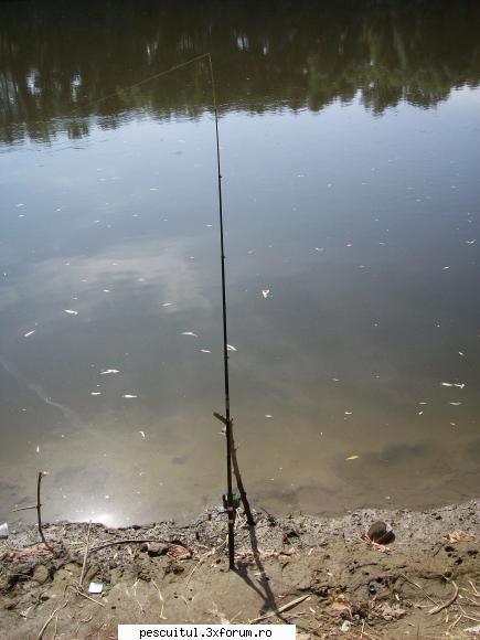 facut cum mi-a spus deyu pus lansetele cat mai sus asa vazut ceilalti pescari... MEMBRU DE ONOARE