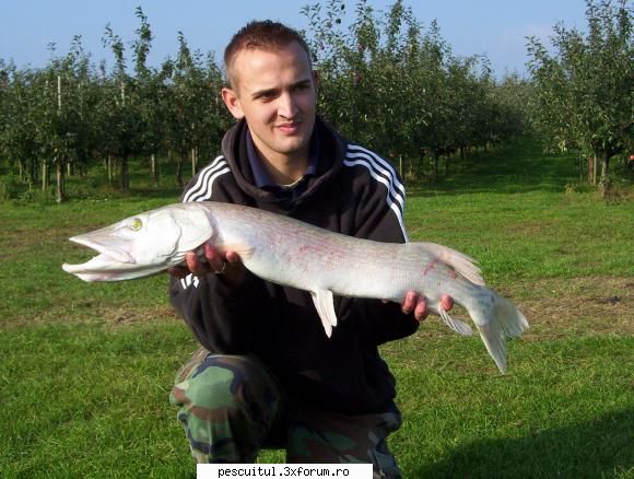 caras .... albinos ??? fantastic uite stiuca albinoasa