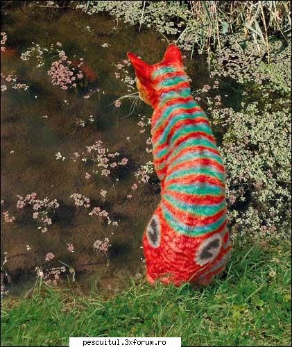 baaah ! cand vii sa ma bazai si pe mine ! sa-mi spui ce-i asta ! si la ce mananca ! topic de