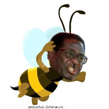 pictore, vezi ca eu incerc sa fiu rigid faza tuturor fazelor , fazelor , fazelor posibile din lume !