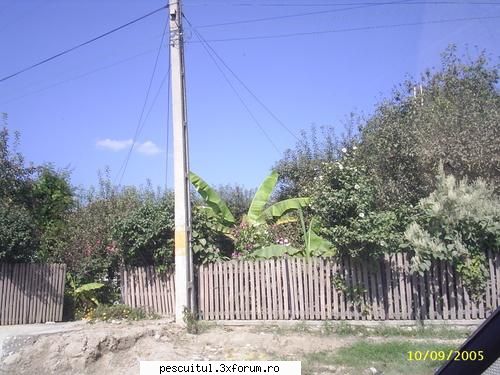 chestii ... google earth undeva munte bananieri ..... noi !!!