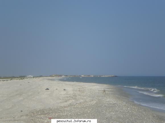 ajutor idei mai plaja vadu