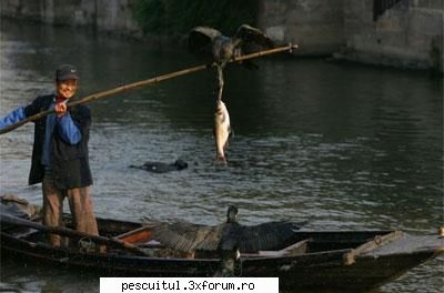pescuitul undita        