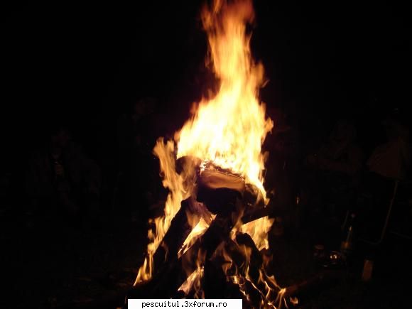eco ara 2010 fotografii cinstea petrecerii ghinozoo sia ars cismele MEMBRU DE ONOARE