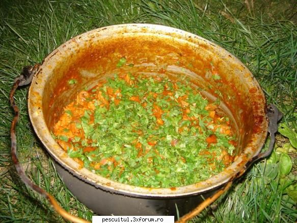 septembrie bacau modigliani initial satietatea tocanitei pipote mamaliga fratilor bacau pentru seara