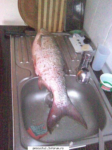 frumos nu? pescuit la avat