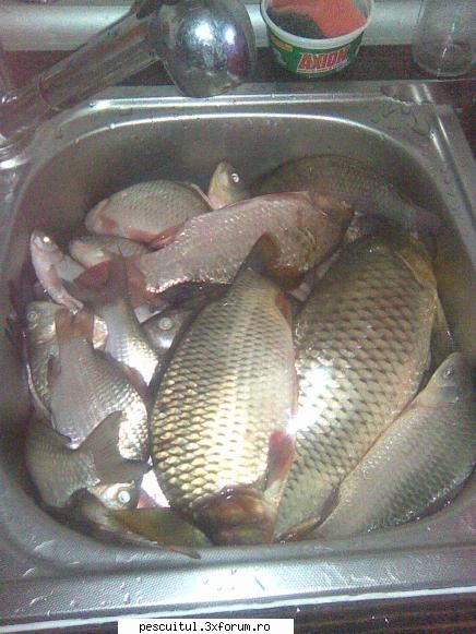 :razz: pescuit la ciortan