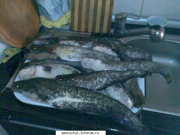 :wink2: distractie la somotei