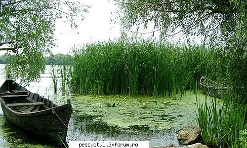 numesc sebastian ani sunt origine din locuiesc bucuresti ceva ani sunt mare amator iesiri aer liber