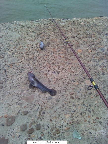 pescuit dunare galati batranul guvid reantoarce din adancuri