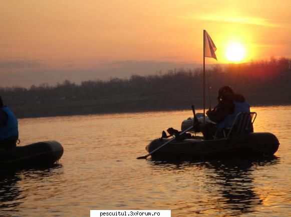 ... cupa cabela's nautic life sarulesti  -- divizia open