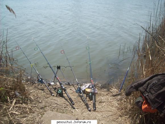 partide pescuit! saptamana trecuta fost movileni, prieten pescar alt forum, luat amur, iar l-am MEMBRU DE ONOARE