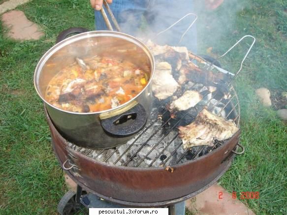 nu e facuta la pescuit . nici cu lemn de plop , dar se .... apropie ! ten sau crap scos in ,, zeama