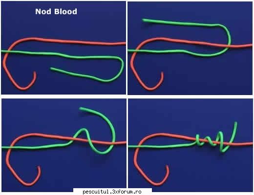 nodul blood