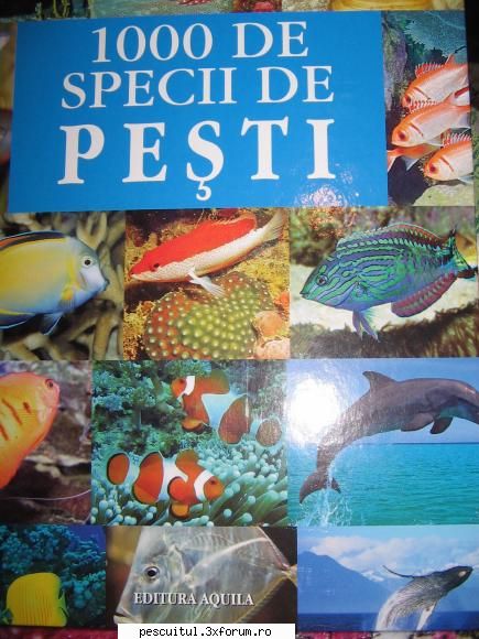 1000 DE SPECII DE PEŞTI - Mai degraba asa :) , portrait ca se vede mai bine - SPECII DE PESTI