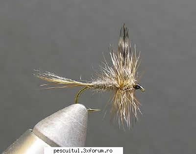 5 muste artificiale pentru pescuitul pastravului - PESCUIT - FLY FISHING