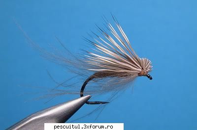 5 muste artificiale pentru pescuitul pastravului (2) - PESCUIT - FLY FISHING