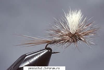 5 muste artificiale pentru pescuitul pastravului (3) - PESCUIT - FLY FISHING