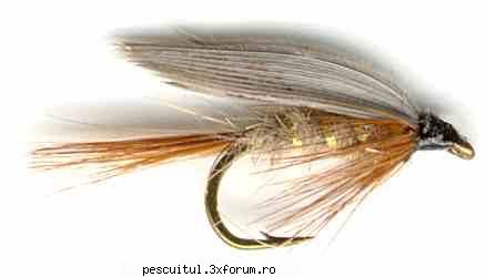5 muste artificiale pentru pescuitul pastravului (4) - PESCUIT - FLY FISHING