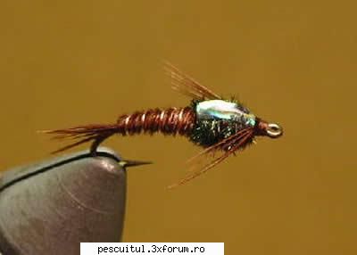 5 muste artificiale pentru pescuitul pastravului (5) - PESCUIT - FLY FISHING