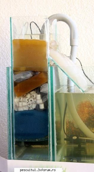 Acvaristica - Filtru homemade - CAFENEA - DISCUTII OFF TOPIC
