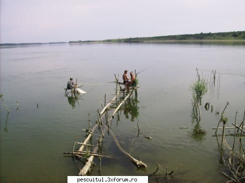 Alte stiluri de pescuit - Fisherman ! mai Friend ! Unde umbli frate ? Ia - PESCUITUL ALTOR SPECII DE PESTI