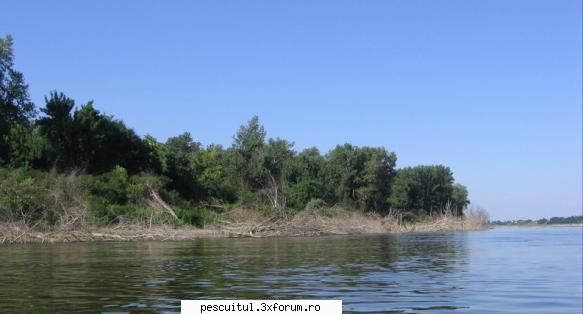 Am chef sa vorbesc despre ..... Regina !!! - Ne cheama ! Ne cheama - PESCUIT LA DUNARE SI IN DELTA DUNARII