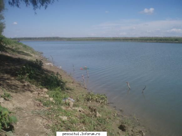 Amical intre forumisti - ispasirinel - CONCURSURI SI COMPETITII PENTRU PESCARI