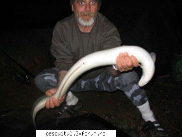 Anghila - Pescuitul anghilei - category: rod & reel weight: 4,59 kg (10 lb 2 oz) - SPECII DE PESTI