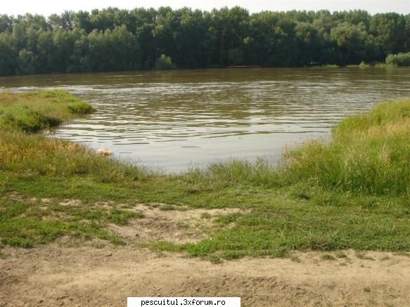 Ara - 19*20 iunie - Locul in care tineam barcile !!!!! - PESCUIT LA DUNARE SI IN DELTA DUNARII