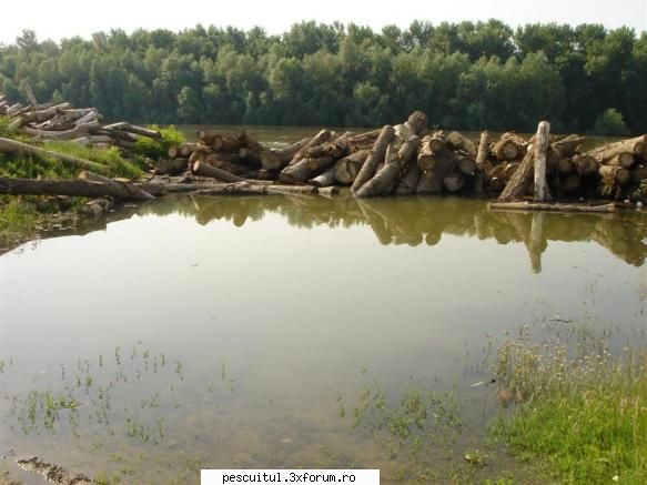 Ara - 19*20 iunie - Tabara !!!!!!!!!!!!!!!!!!!!!!! - PESCUIT LA DUNARE SI IN DELTA DUNARII