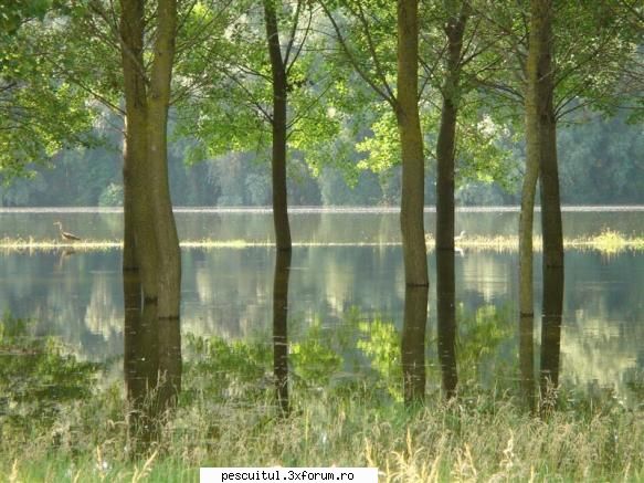 Ara - 19*20 iunie - Ramaneau doua variante : 1 - Tabara pusa pe - PESCUIT LA DUNARE SI IN DELTA DUNARII