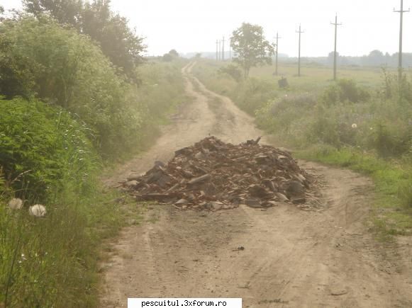 Ara - 19*20 iunie - Da nene ! ..... Un camion de tigle varsat - PESCUIT LA DUNARE SI IN DELTA DUNARII