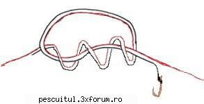 Avat la taparina - coool_marius - PESCUIT - SPINING