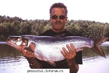 Avatul - Pescuitul avatului - Video pescuit avat - Recordul mondial category: rod & reel - SPECII DE PESTI