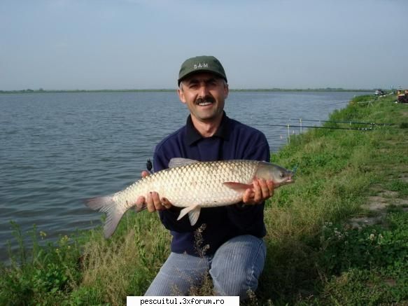 BALTA SACOSU TURCESC , jud.Timis - Cteno 2,5 kg, tot pe Sacosu Turcesc - LOCURI DE PESCUIT - BALTI