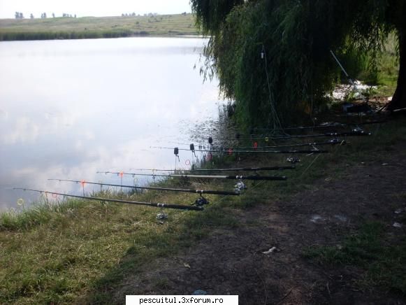 Balta Albele jud. Giurgiu - da este o balta de nota 10 paznici s�nt - LOCURI DE PESCUIT - BALTI