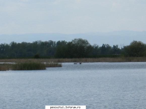 Balta Aurel Vlaicu, jud. Hunedoara - Acces: pe DN7 la 15 km de Orastie spre - LOCURI DE PESCUIT - BALTI