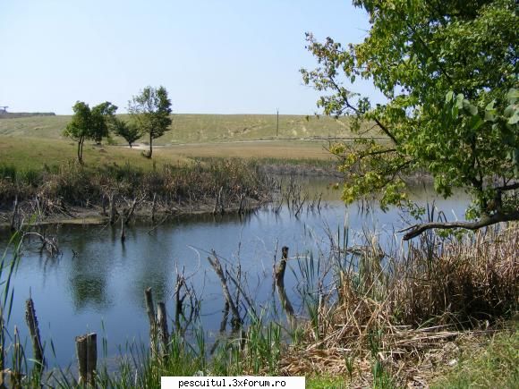 Balta/lac din Gorj - ma intereseaza numele acestei balti precum si - LOCURI DE PESCUIT - BALTI