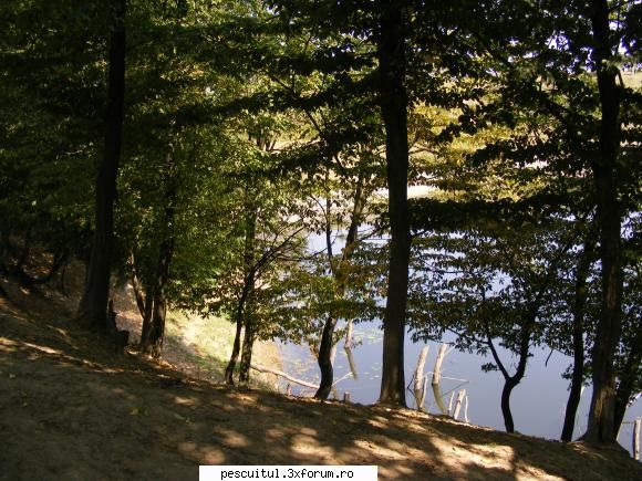 Balta/lac din Gorj - balta vazuta din padure - LOCURI DE PESCUIT - BALTI