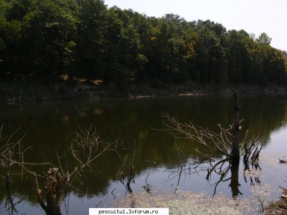 Balta/lac din Gorj - dori - LOCURI DE PESCUIT - BALTI
