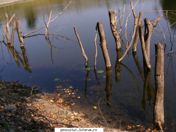 Balta/lac din Gorj - dori - LOCURI DE PESCUIT - BALTI