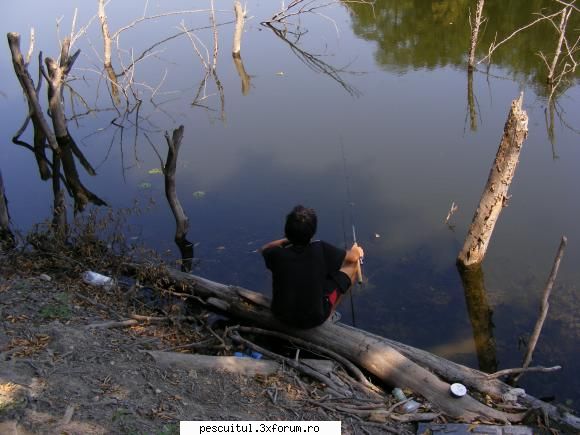 Balta/lac din Gorj - Eu.. dupa esecul scoaterii "monstrului" - LOCURI DE PESCUIT - BALTI