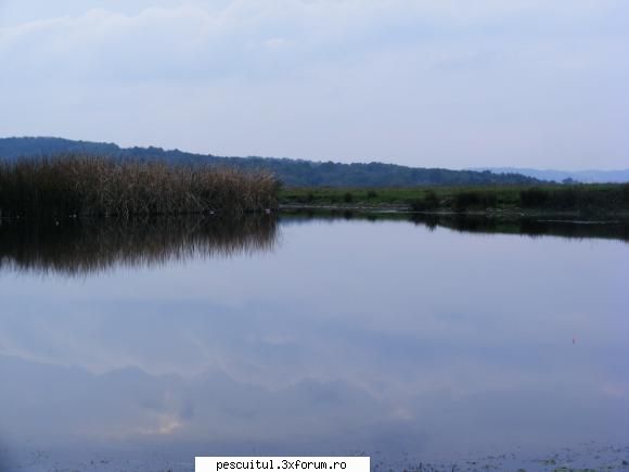 Balta/lac din Gorj - Salut! Ieri, 17 octombrie 2009, am fost la - LOCURI DE PESCUIT - BALTI