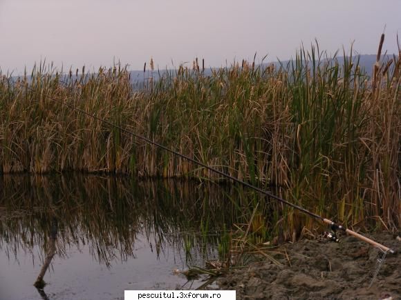 Balta/lac din Gorj - In dreapta lansetei a sarit odata o stiuca, de - LOCURI DE PESCUIT - BALTI