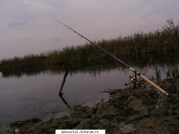 Balta/lac din Gorj - Acelasi loc, peisaj mai mult - LOCURI DE PESCUIT - BALTI